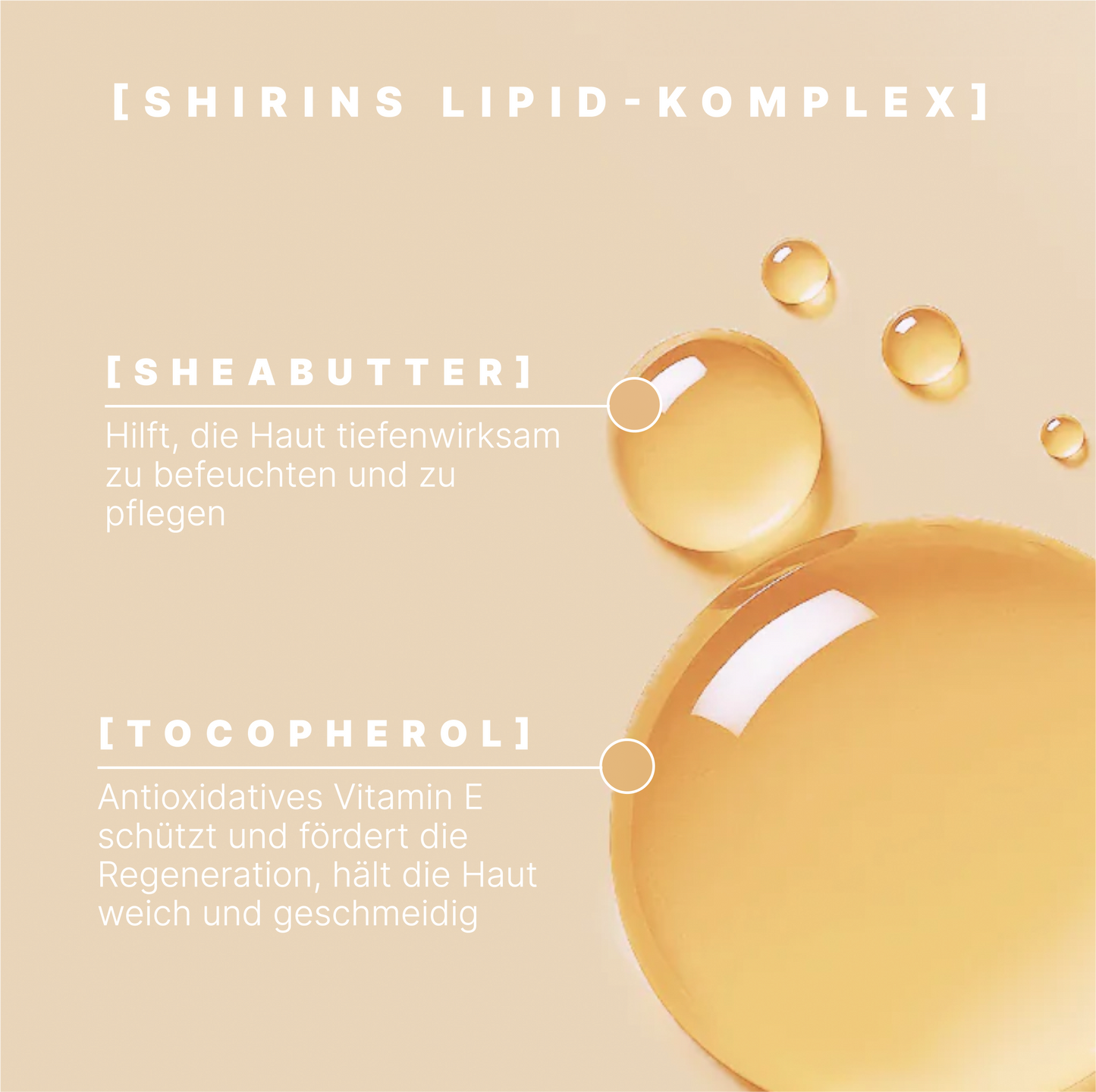 Body Oil Creamy Blueberry Caramel Bliss