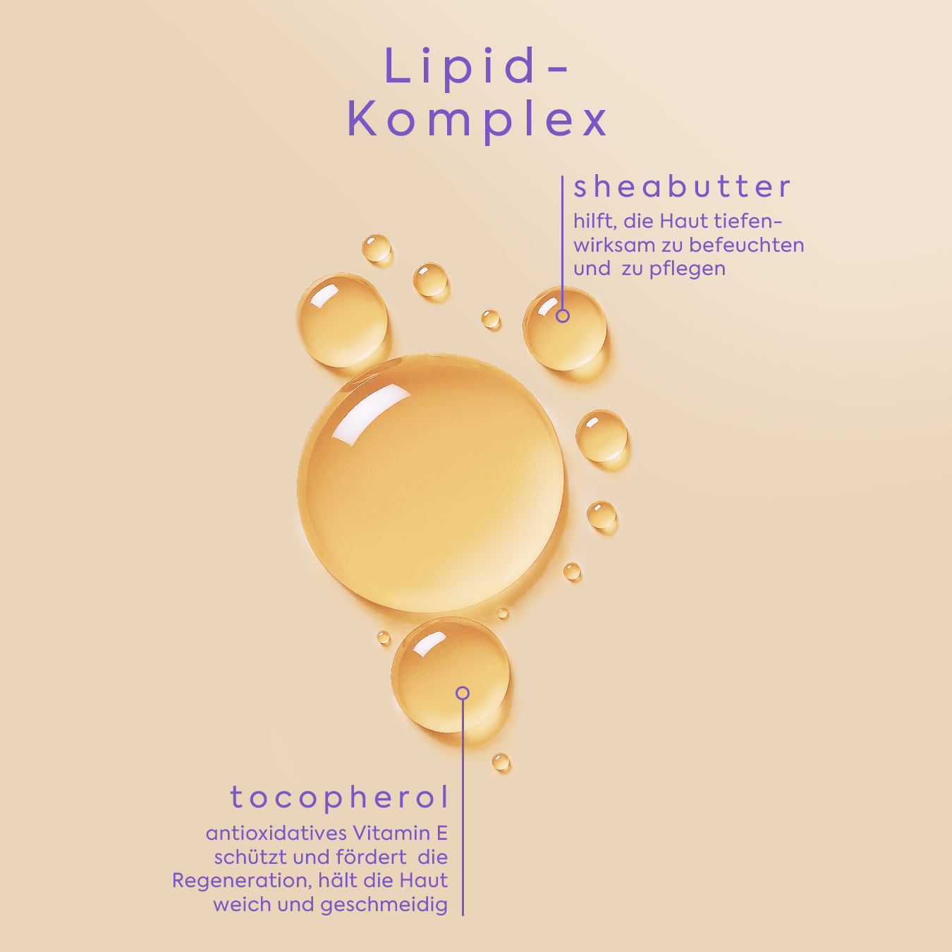 Body Oil Creamy Blueberry Caramel Bliss